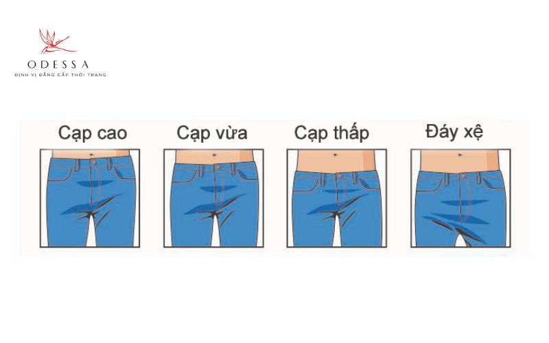 Các loại cạp quần phổ biến