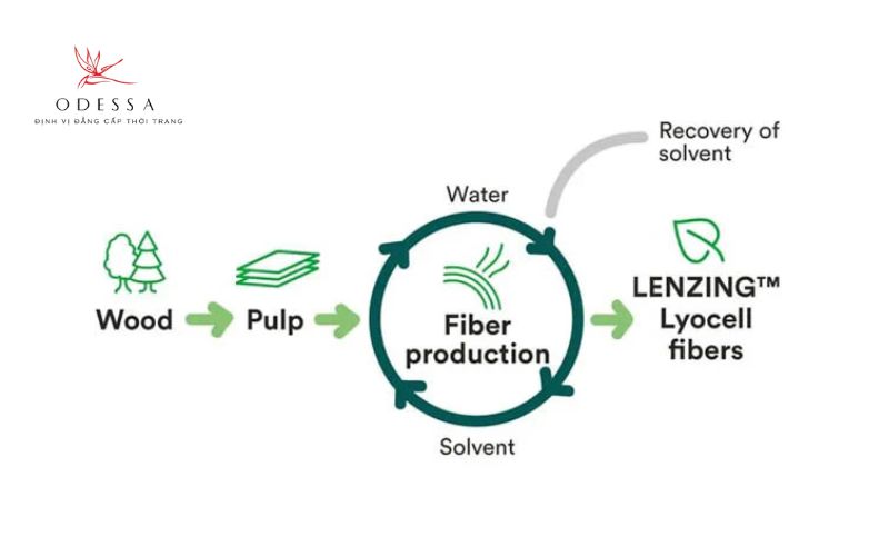 Quy trình sản xuất vải Tencel™ (Lyocell)
